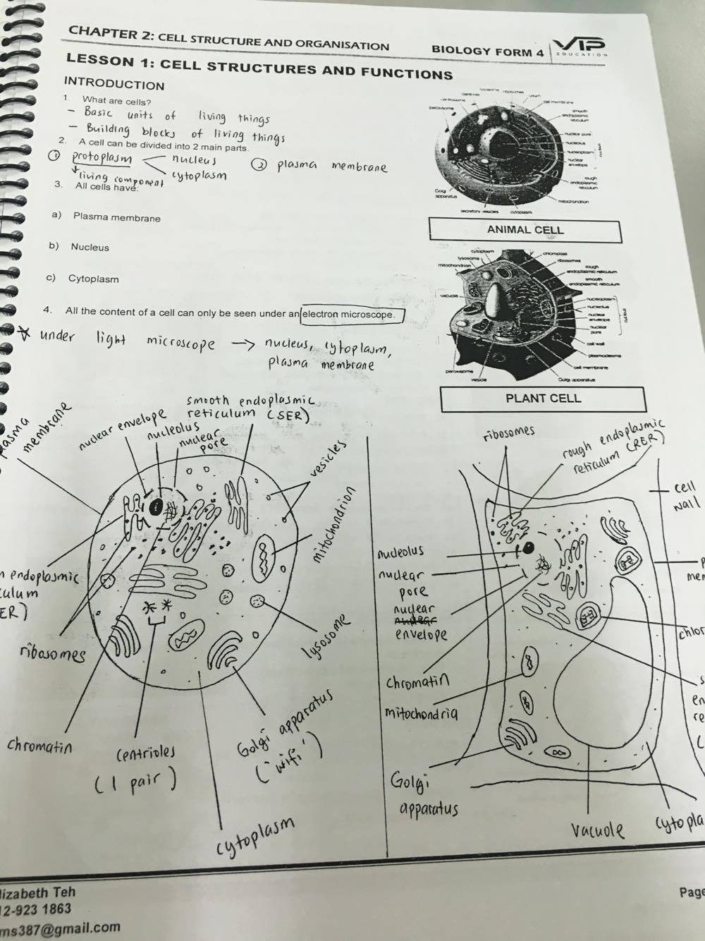 SPM A+ Notes Biology Ms E.T. – Form 4 (KSSM)  BuukBook