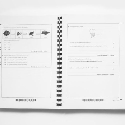Edexcel Pearson Primary Year 6 Science Past Papers BuukBook